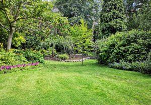 Optimiser l'expérience du jardin à Saint-Laurent-d'Arce