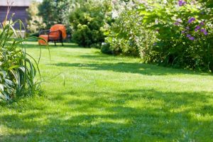 travaux jardin et paysage Saint-Laurent-d'Arce